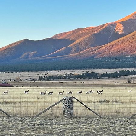Buena Vista Mountain Retreat - Ultimate Privacy With Spa & Unbeatable Views Eksteriør billede